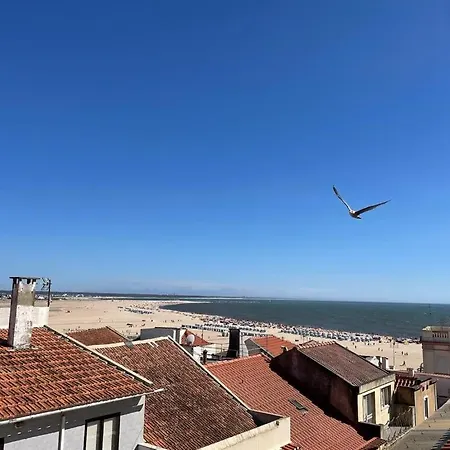 Nene House - Casa De By Ferias Em Figueira Vakantiehuis *